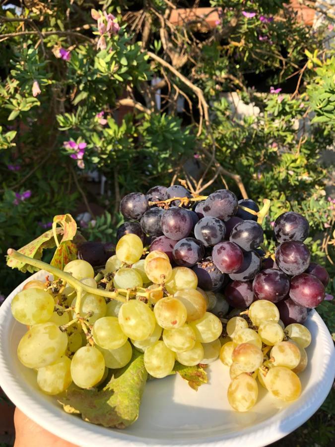 Agriturismo Is Cortillaris Càbras Eksteriør billede