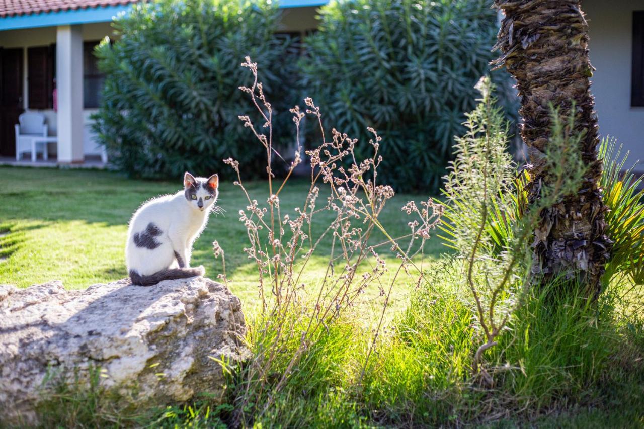 Agriturismo Is Cortillaris Càbras Eksteriør billede